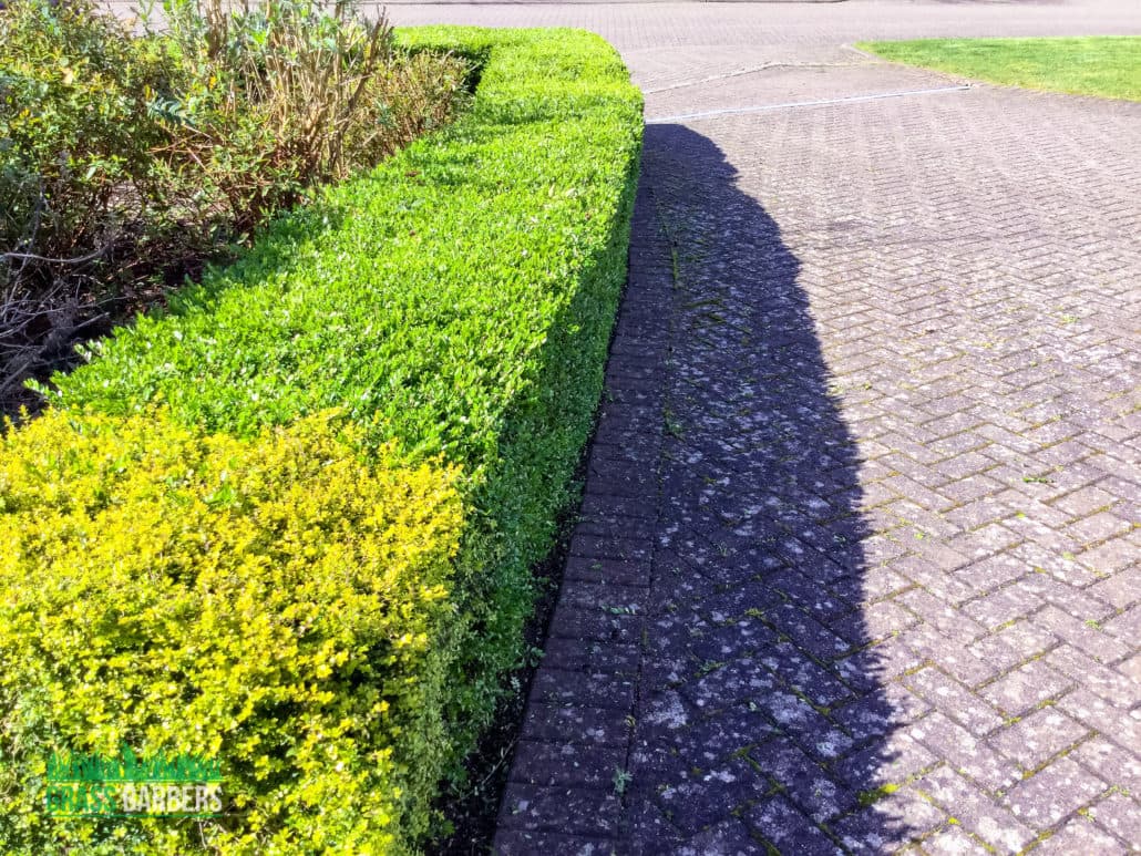 Garden Maintenance Project in Caterham CR3