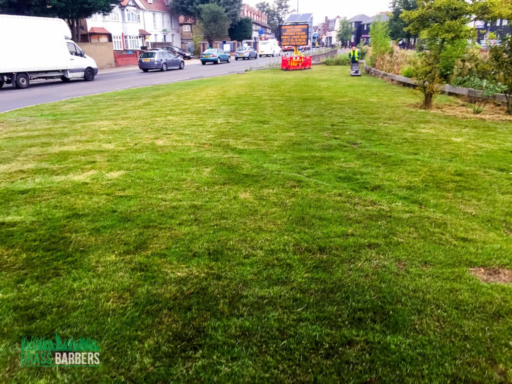 Grass Cutting Project in Mitcham CR4