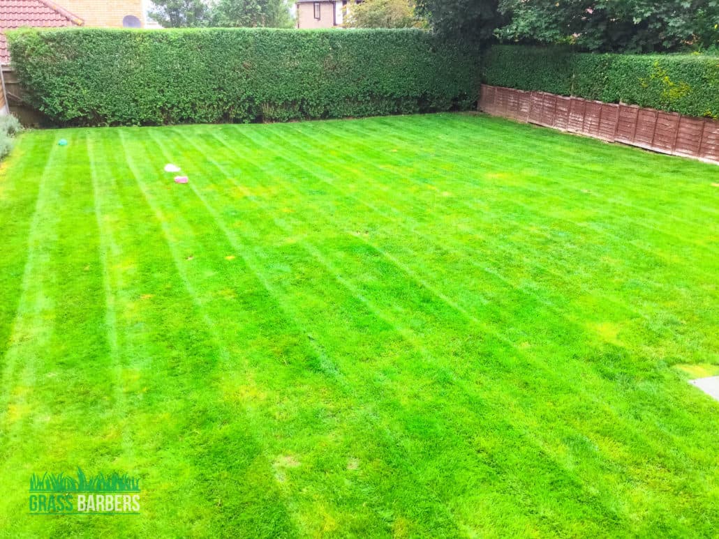 Grass Cutting and Garden Maintenance project in Purley CR8