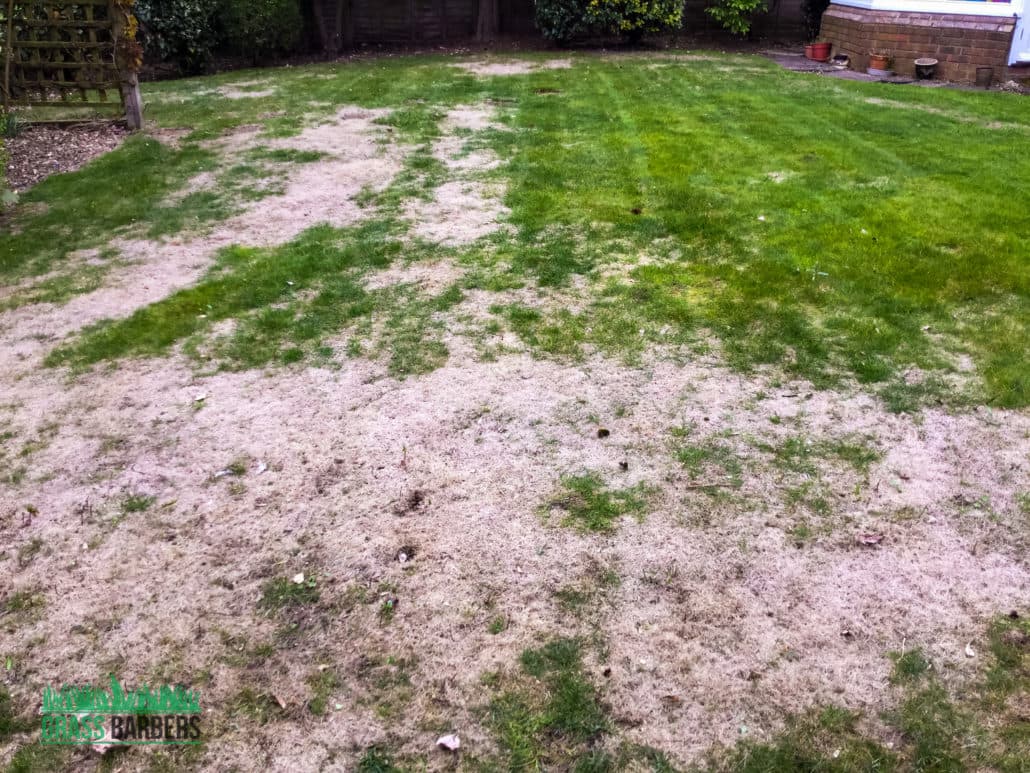 Lawn Care and Garden Maintenance Project in Wallington SM6