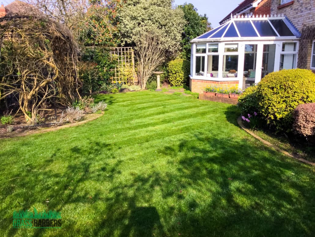 Garden Maintenance Project in Epsom and Ewell KT17