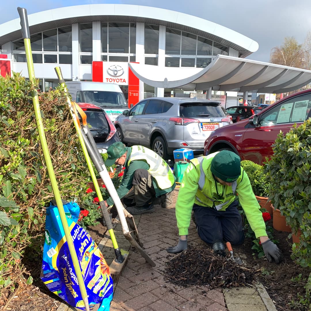 Neglected commercial site with overgrown vegetation and invasive weeds before professional clearance