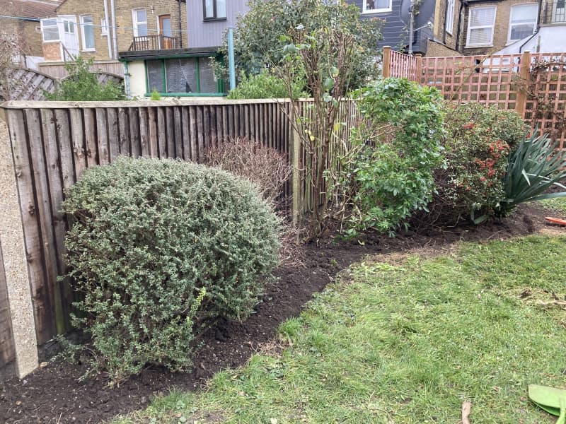 Professionally cleared garden featuring multi-stage mowing and vertical edging restoration