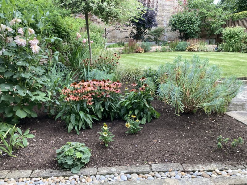 Boundary restoration with ivy removal and perfectly squared structural hedge trimming