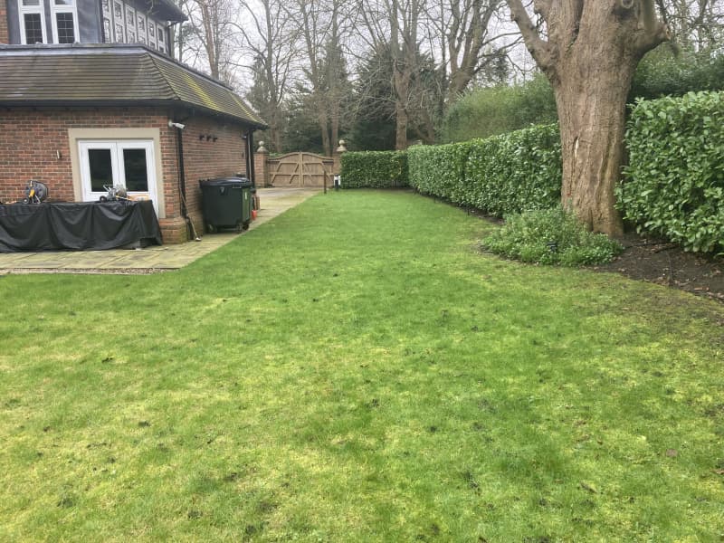 Hedge after professional reduction
