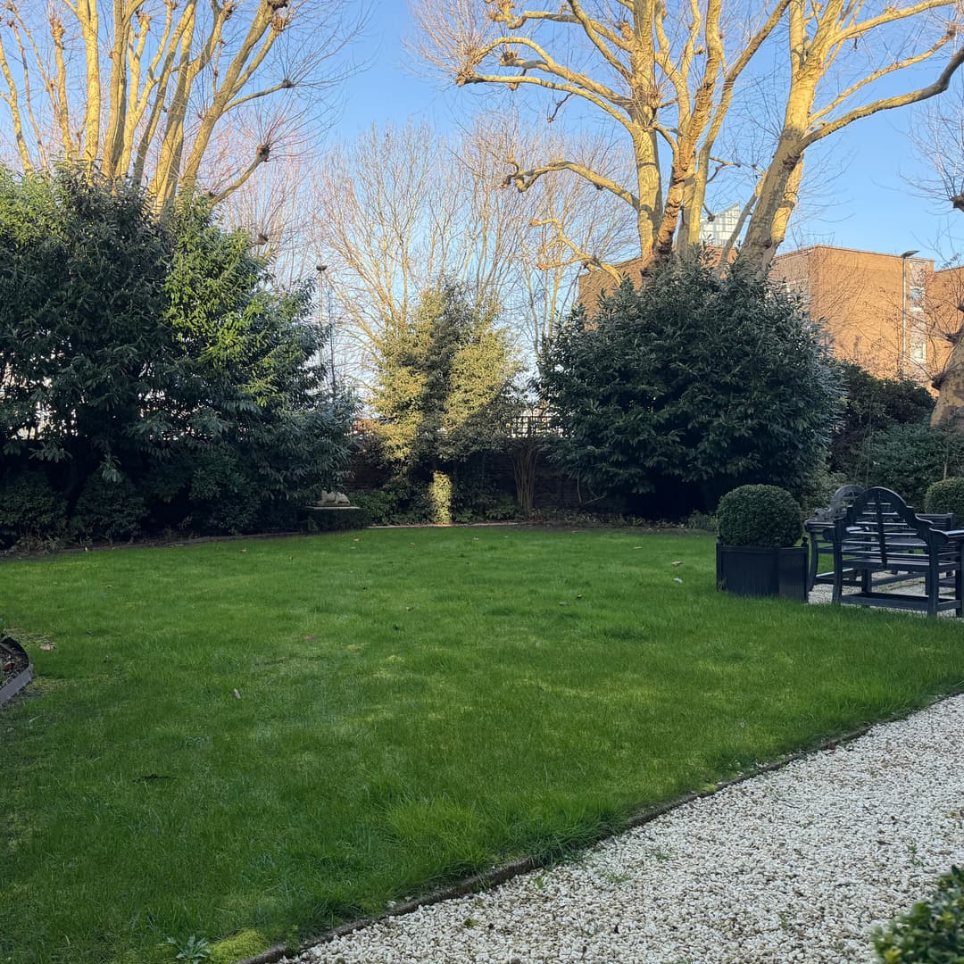 Overgrown lawn boundaries with encroaching weeds before professional vertical blade strimming and edging