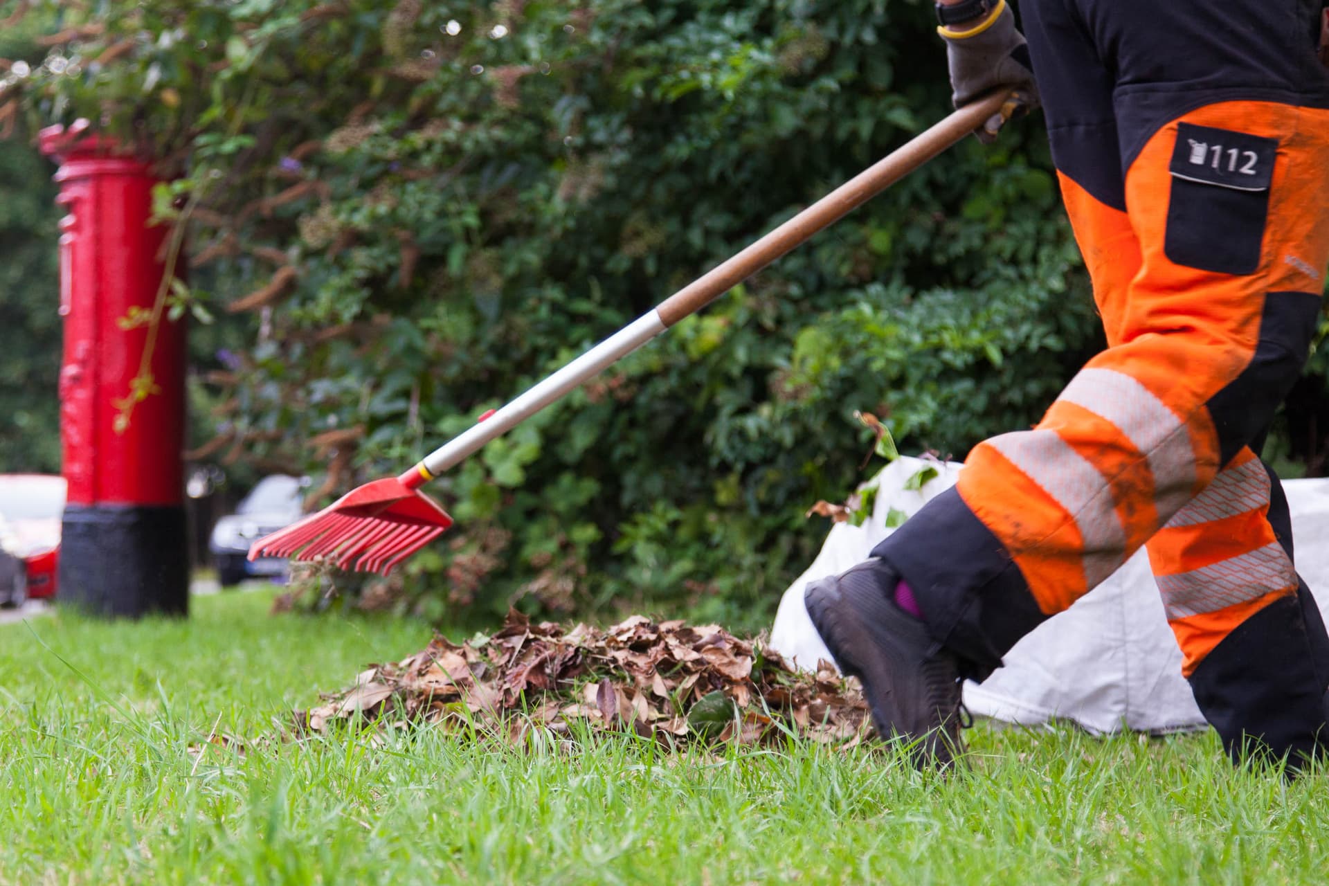 Grass Barbers professional gardening team performing a complete jungle clearance in South London