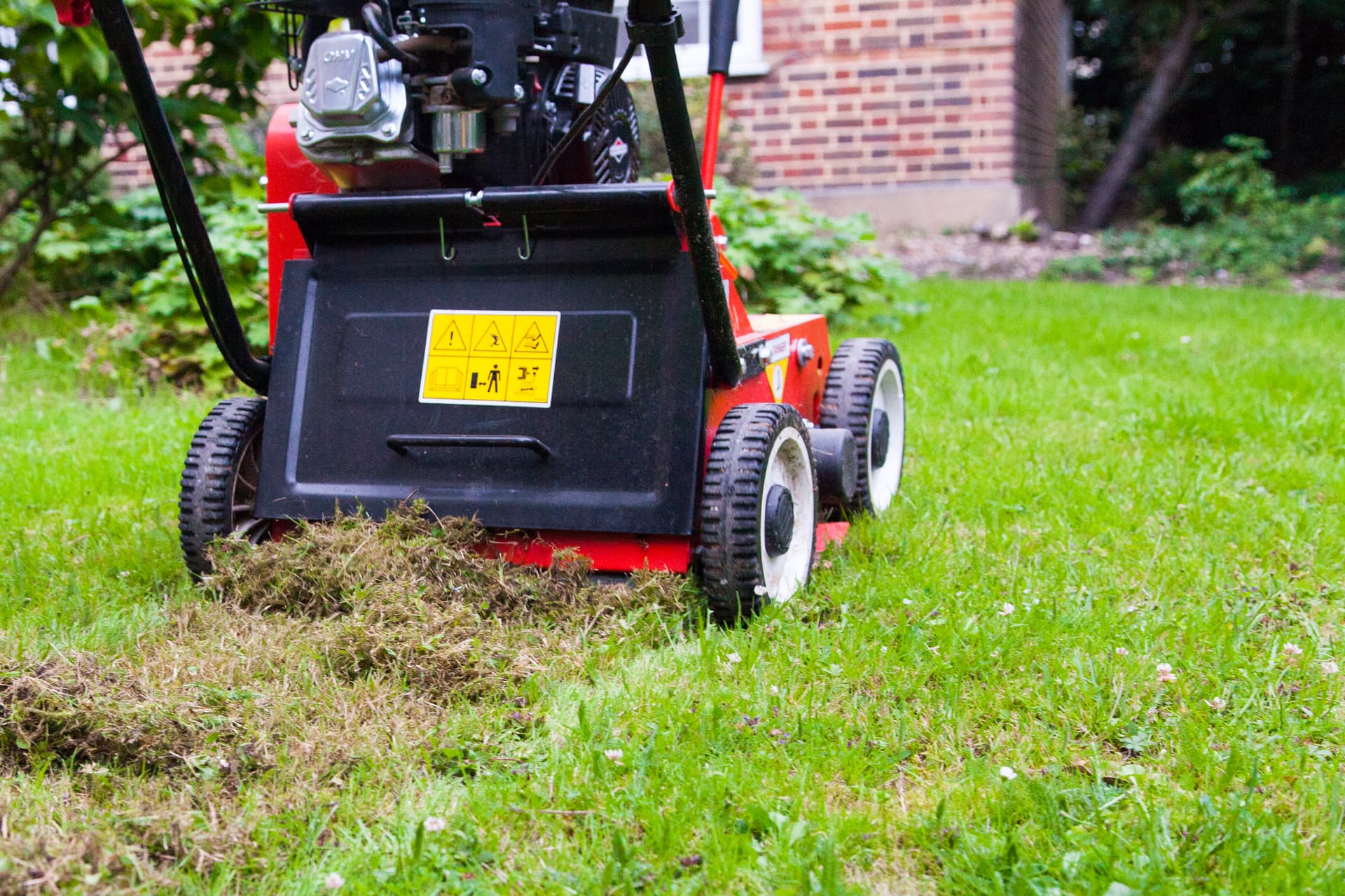 Professional lawn care team performing turf restoration in London