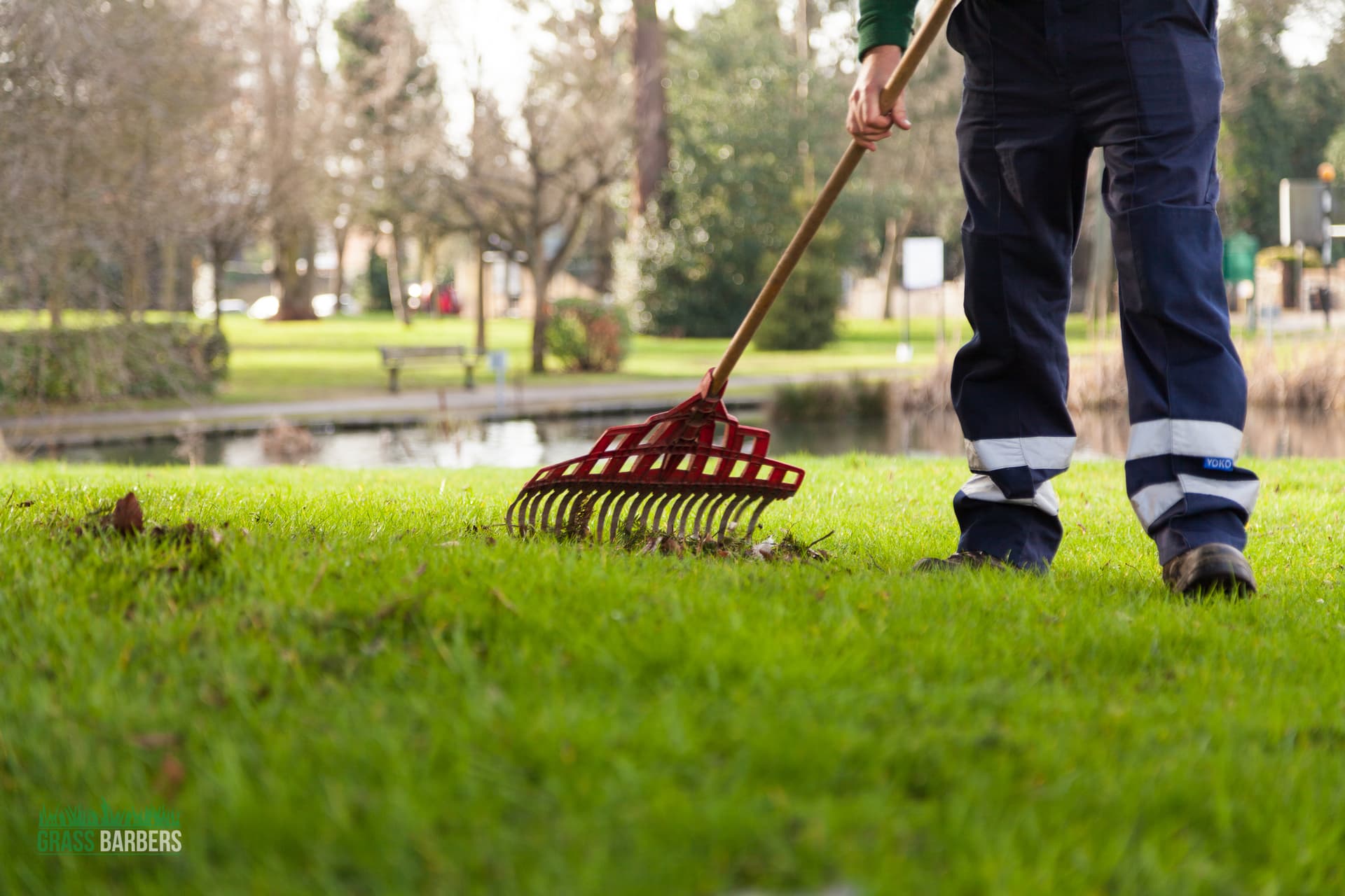 Lawn care and grass cutting