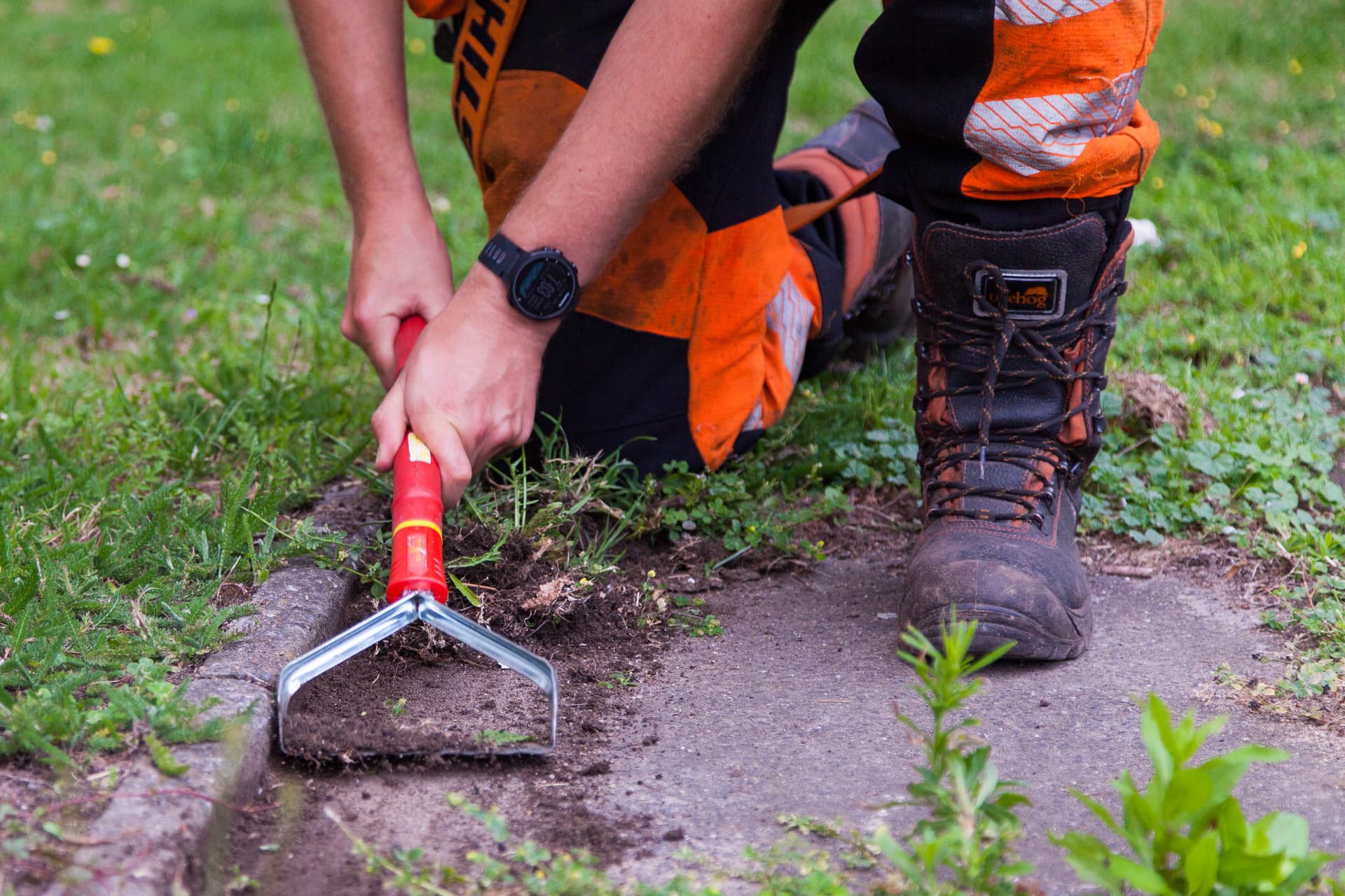 Grass Barbers licensed specialist identifying invasive weeds and preparing professional herbicide treatment