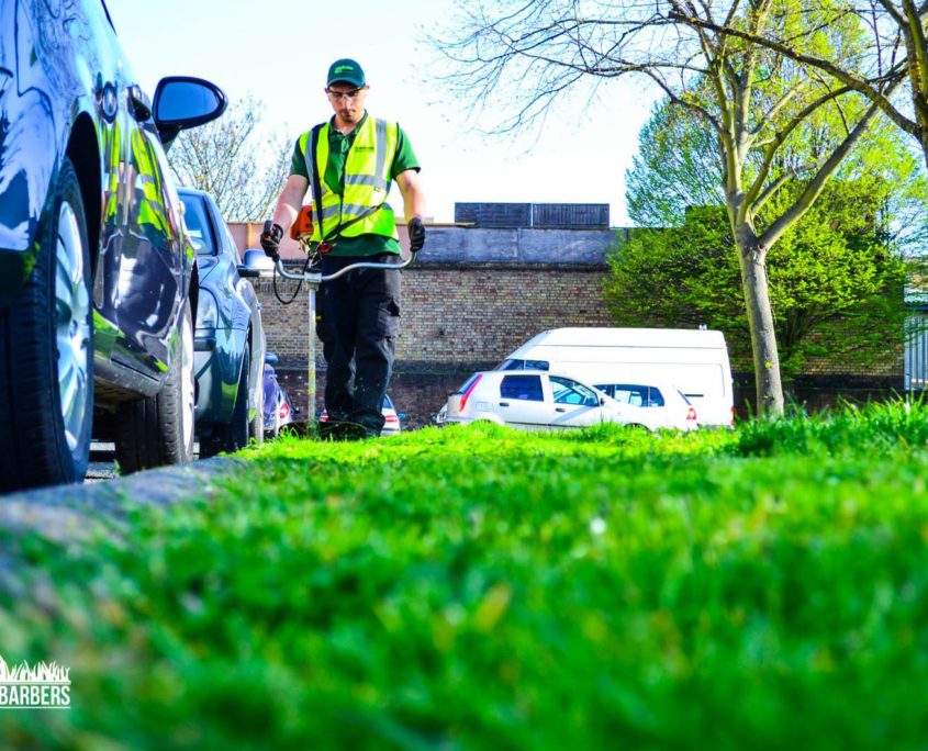 Gardeners in London - Grassbarbers