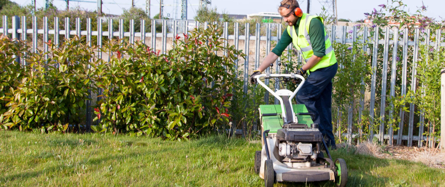 Grassbarbers Grass Cutting Services in London and Surrey