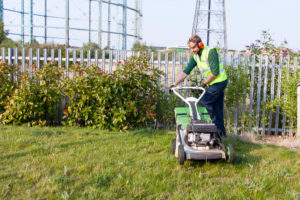 Grassbarbers Grass Cutting Services in London and Surrey