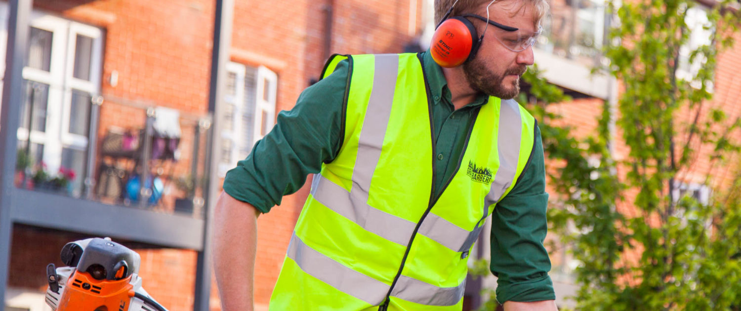 Grassbarbers Grass Cutting Services in London and Surrey