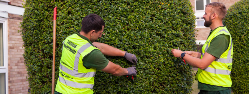 Residential garden maintenance services by Grass Barbers in London and Surrey