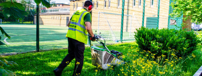 Grass Barbers Weed Control Services in London and Surrey