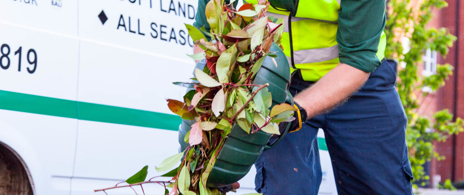 Garden Clearance Services in London and Surrey