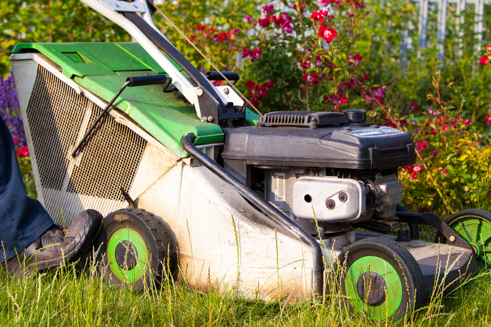 Garden Maintenance Services in London and Surrey13 Grass Barbers