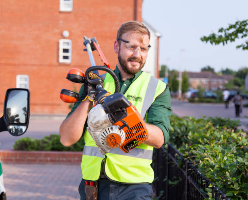 Garden Maintenance Services in London and Surrey