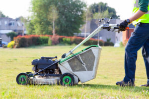 Garden Maintenance Services in London and Surrey