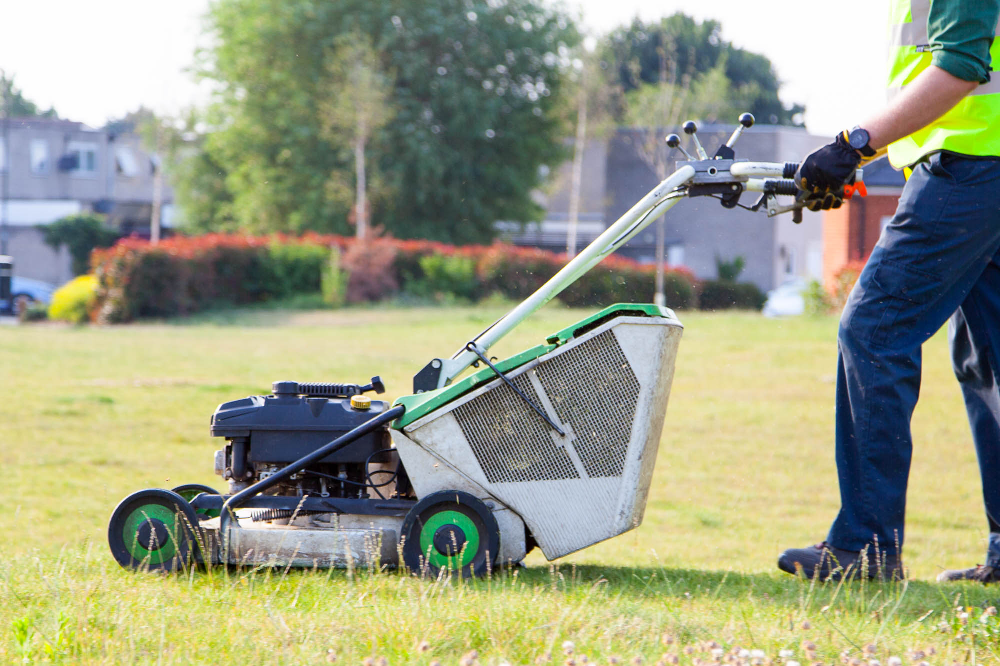 Garden Maintenance Services in London and Surrey Grass Barbers