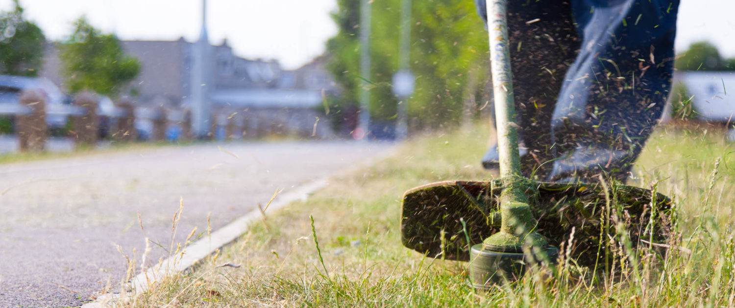 Grass Cutting Services in London and Surrey