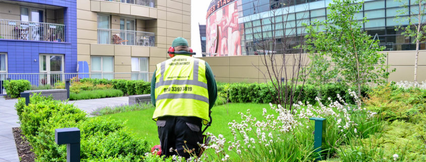 Grass Barbers Garden Maintenance Services in London and Surrey