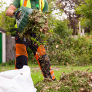 Weed Control in London and Surrey by Grass Barbers