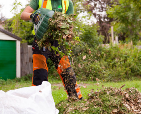 Weed Control in London and Surrey by Grass Barbers