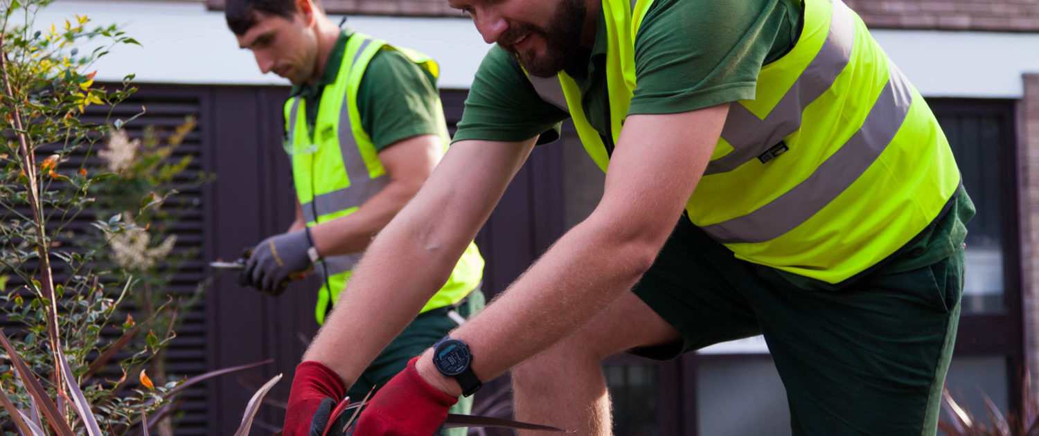 Garden Maintenance Service in London and Surrey by Grass Barbers