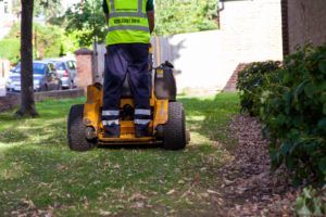 Lawn Treatment during Winter Season by Grass Barbers in London and Surrey