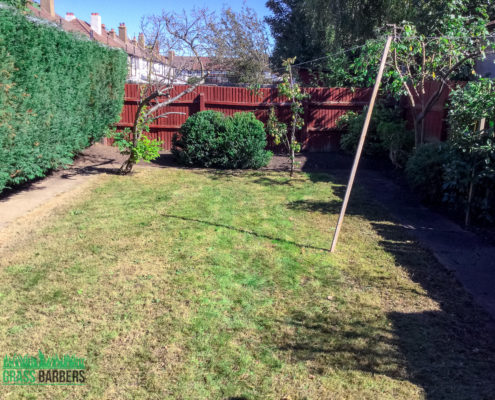 Garden Clearance Project in Thornton Heath CR7