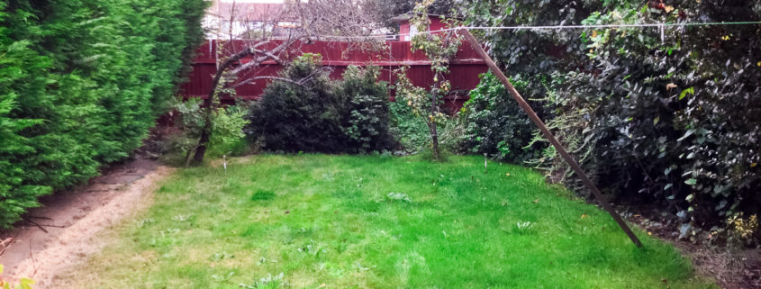 Garden Clearance Project in Thornton Heath CR7