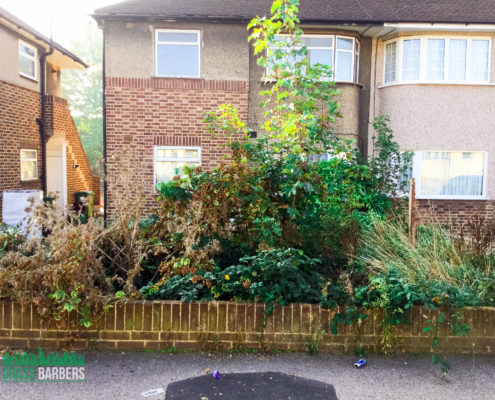 Garden Jungle Clearance Project in Bexleyheath DA7