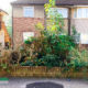 Garden Jungle Clearance Project in Bexleyheath DA7