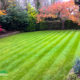 Garden maintenance project in Woldingham CR3