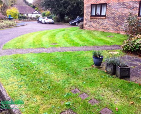 Private Block Grounds Maintenance in Caterham CR3