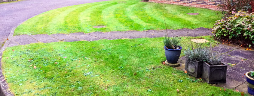 Private Block Grounds Maintenance in Caterham CR3