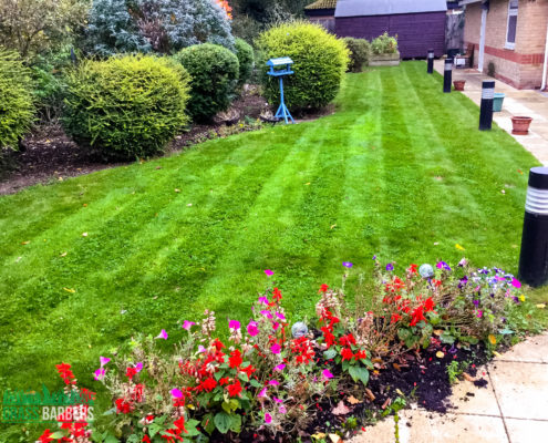 Care Home Grounds Maintenance Project in Mitcham CR4