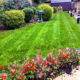 Care Home Grounds Maintenance Project in Mitcham CR4