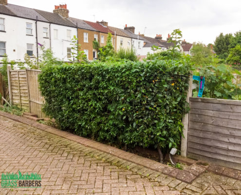 Commercial Grounds Maintenance Project in Sutton SM1