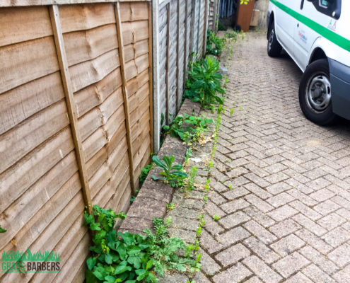 Commercial Grounds Maintenance Project in Sutton SM1