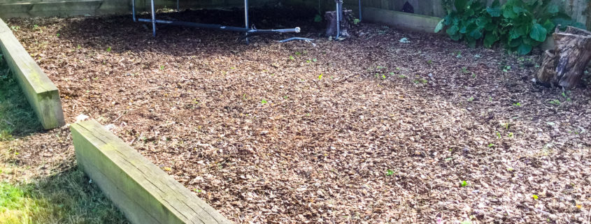 Garden Clearance Project in Carshalton SM5