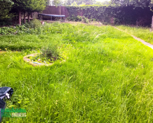 Garden Clearance Project in Carshalton SM5