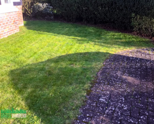 Garden Maintenance Project in Caterham CR3