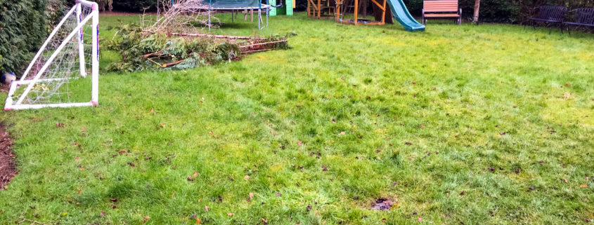 Garden Maintenance Project in Purley CR8