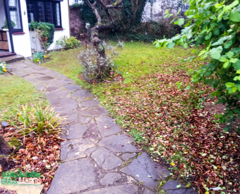 Garden Maintenance Project in Purley CR8