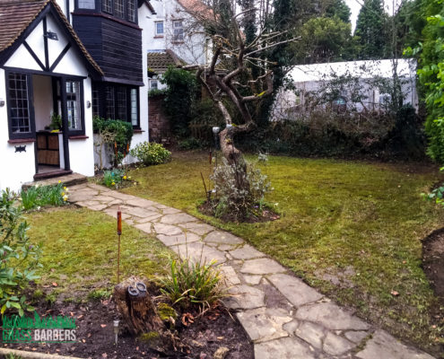 Garden Maintenance Project in Purley CR8