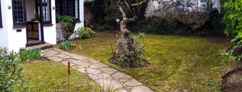 Garden Maintenance Project in Purley CR8