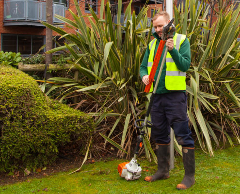 GrassBarbers Local Gardeners in Colliers Wood SW19